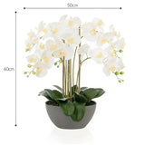 Artificial Large White Orchid in Trough Planter