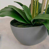 Artificial Large White Orchid in Trough Planter