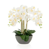 Artificial Large White Orchid in Trough Planter