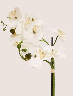 Artificial Medium Orchid Plant