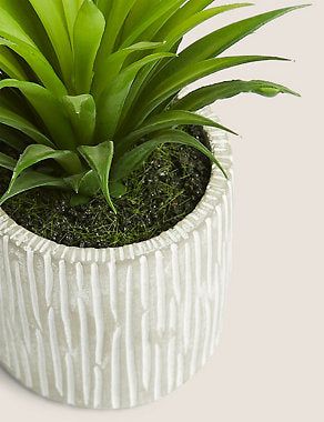 Artificial Mini Aloe in Concrete Pot - Green, None