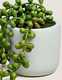 Artificial Mini String of Pearls in Pot