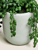 Artificial Mini Trailing Plant in Pot