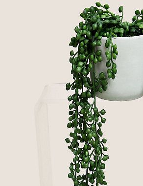 Artificial Mini Trailing Plant in Pot - Green, None