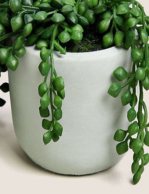 Artificial Mini Trailing Plant in Pot - Green, None