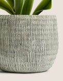 Artificial Natural Lily in Textured Pot - Green, None