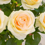 Artificial Pink Roses and Mixed Foliage in Glass Vase