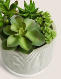 Artificial Succulent Garden - Green, None