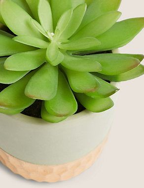 Artificial Succulent in Metallic Base Pot