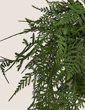 Artificial Trailing Asparagus Fern In Pot - Green, None