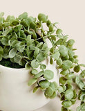 Artificial Trailing String of Hearts Plant