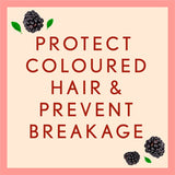 Aveeno Colour Protect+ Blackberry & Quinoa Blend Conditioner