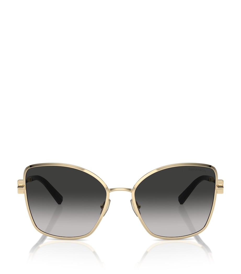 Tiffany & Co. metal sunglasses TF3102B (British brand)