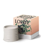 LOEWE small oregano scented candle, UK version