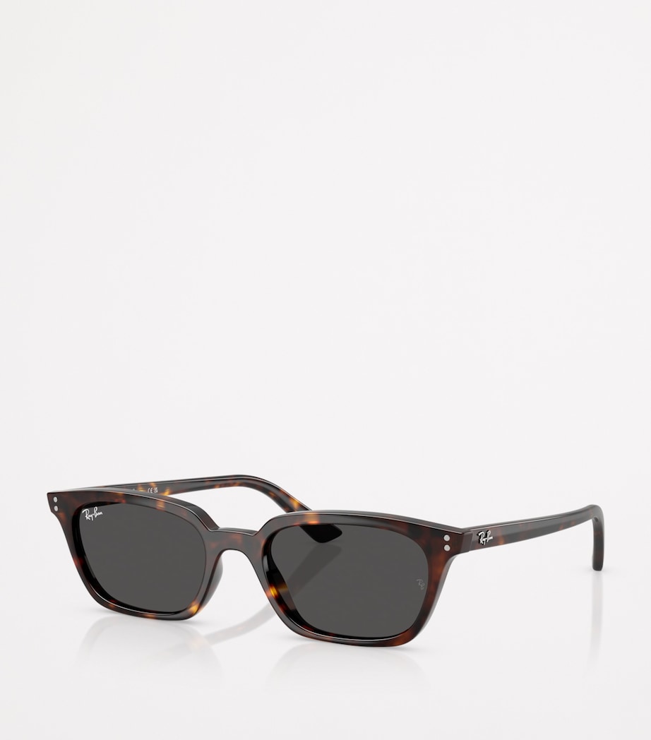 Ray-Ban Zaya bio-based sunglasses - British product