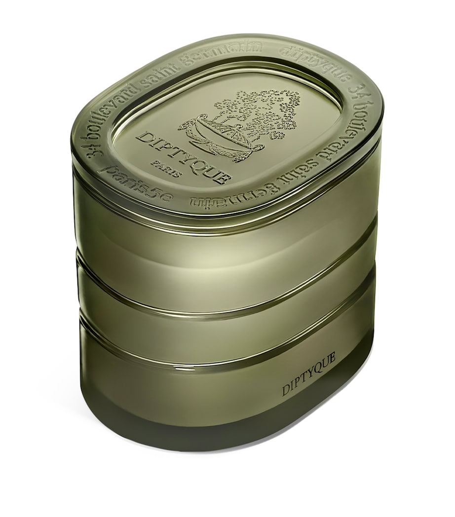 Diptyque Temple des Mousses candle 270g - British product
