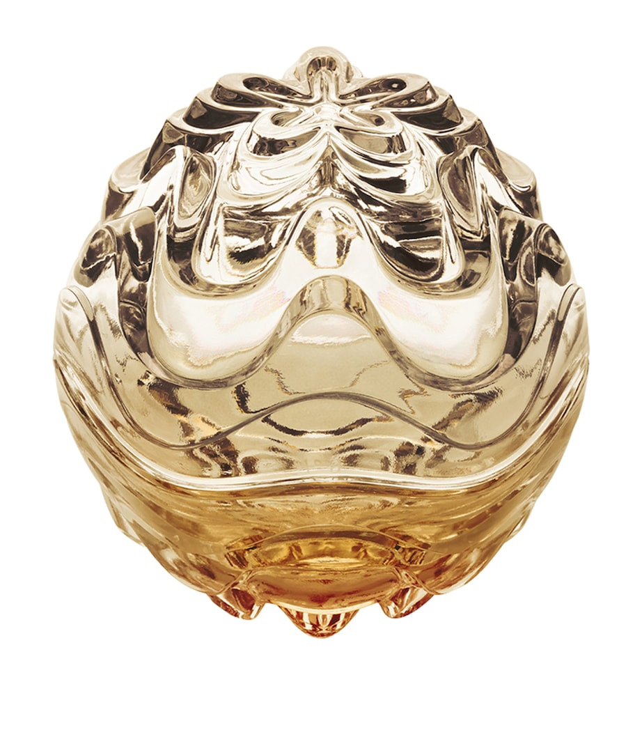 Lalique crystal vibration box H11cm - British product