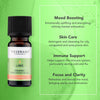 Tisserand Lime Organic Essential Oil 9ml (British brand)