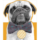 George Home Pug Birthday Card General Household ASDA   