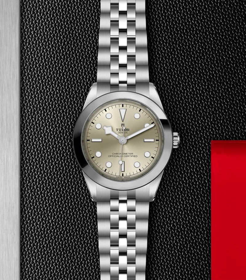 TUDOR Black Bay One watch 39mm (British brand)