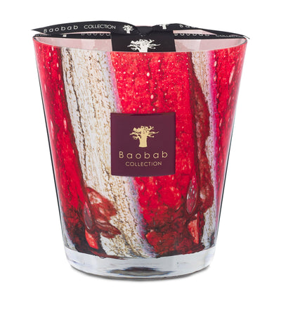 Harrods Baobab Collection Risoud Woods Candle 1.1kg- Buy online at McGrocer