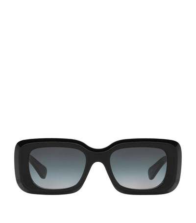 Harrods Chloé Acetate Sunglasses- Buy online at McGrocer
