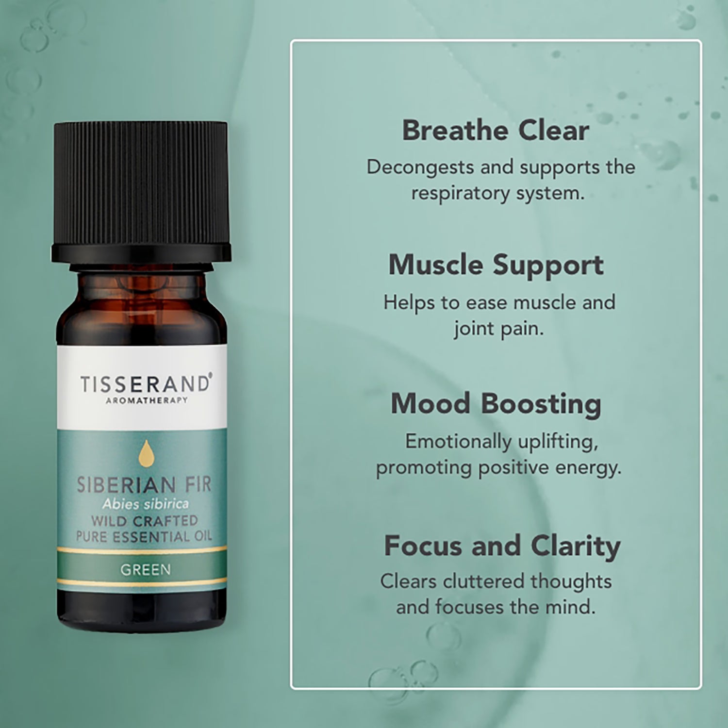 Tisserand Siberian Fir essential oil 9ml (British brand)