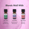 Tisserand Palmarosa pure essential oil 9ml (British brand)