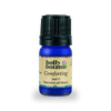 Holly Botanic Comforting essential oil blend 5ml (British brand)