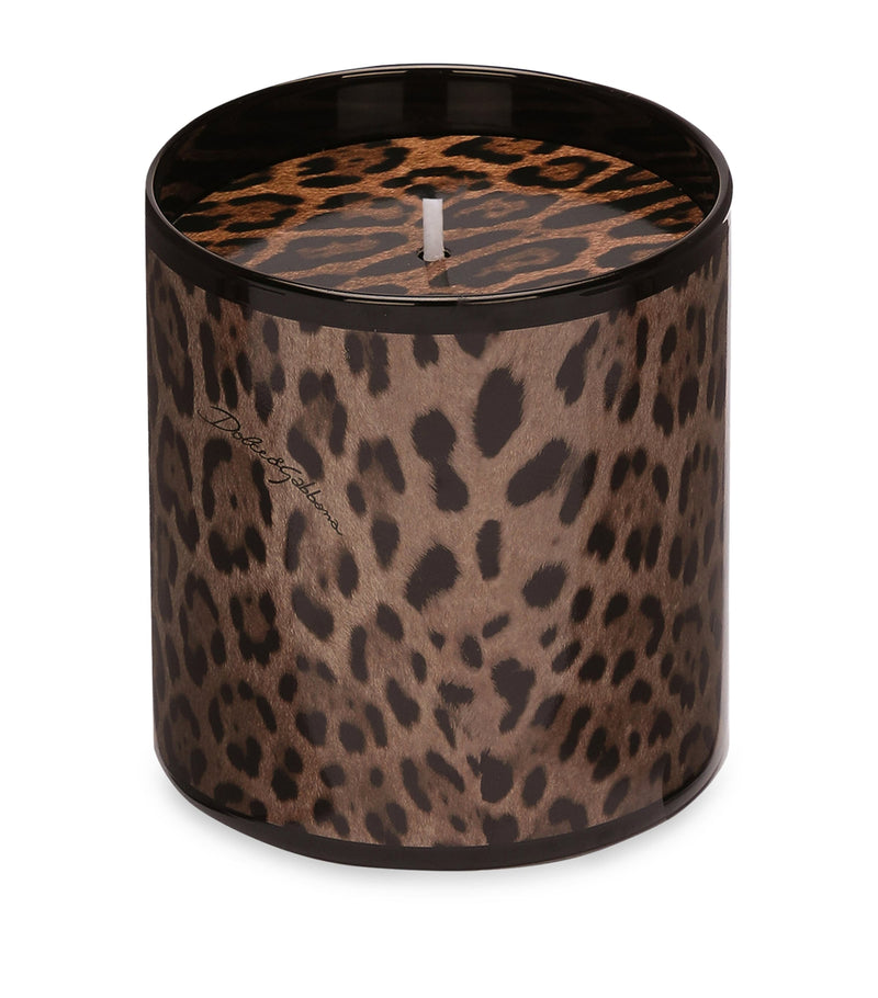 Dolce&Gabbana Casa Leopardo Patchouli Candle 380g - British product
