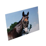 Kevin Milner Countryside Funny Horse Card GOODS Superdrug   