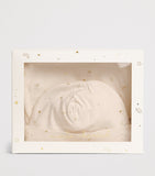 Marie-Chantal Cotton Bay Star baby set (British brand)