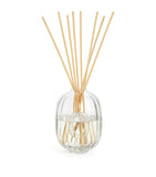 Diptyque Baies reed diffuser refill 2L - British product