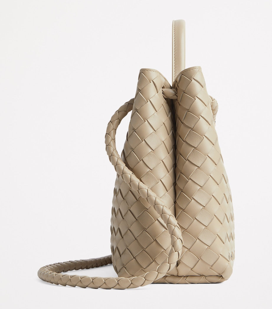 Bottega Veneta Andiamo medium shoulder bag - British product