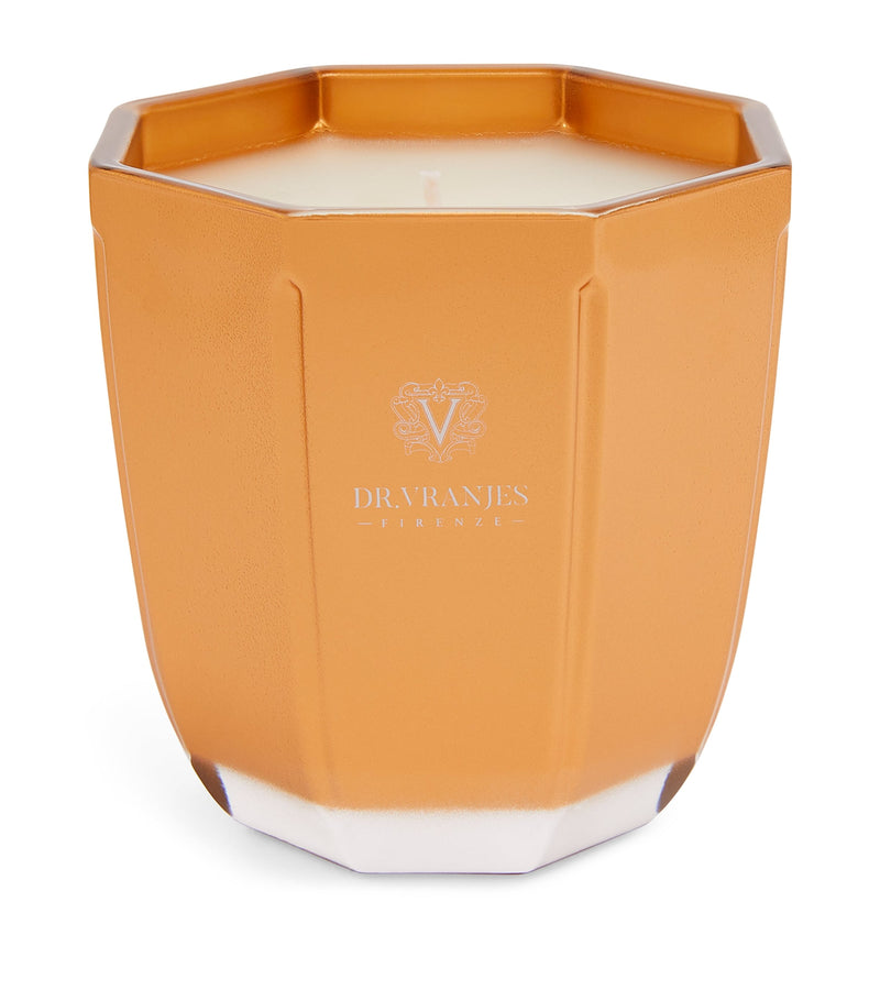 Dr. Vranjes Oud Nobile scented candle 200g - British product