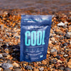 Gut-Smart COOL pineapple digestive supplement 60 tablets (British brand)