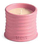 LOEWE small Ivy scented candle in terracotta vessel 170g, UK version