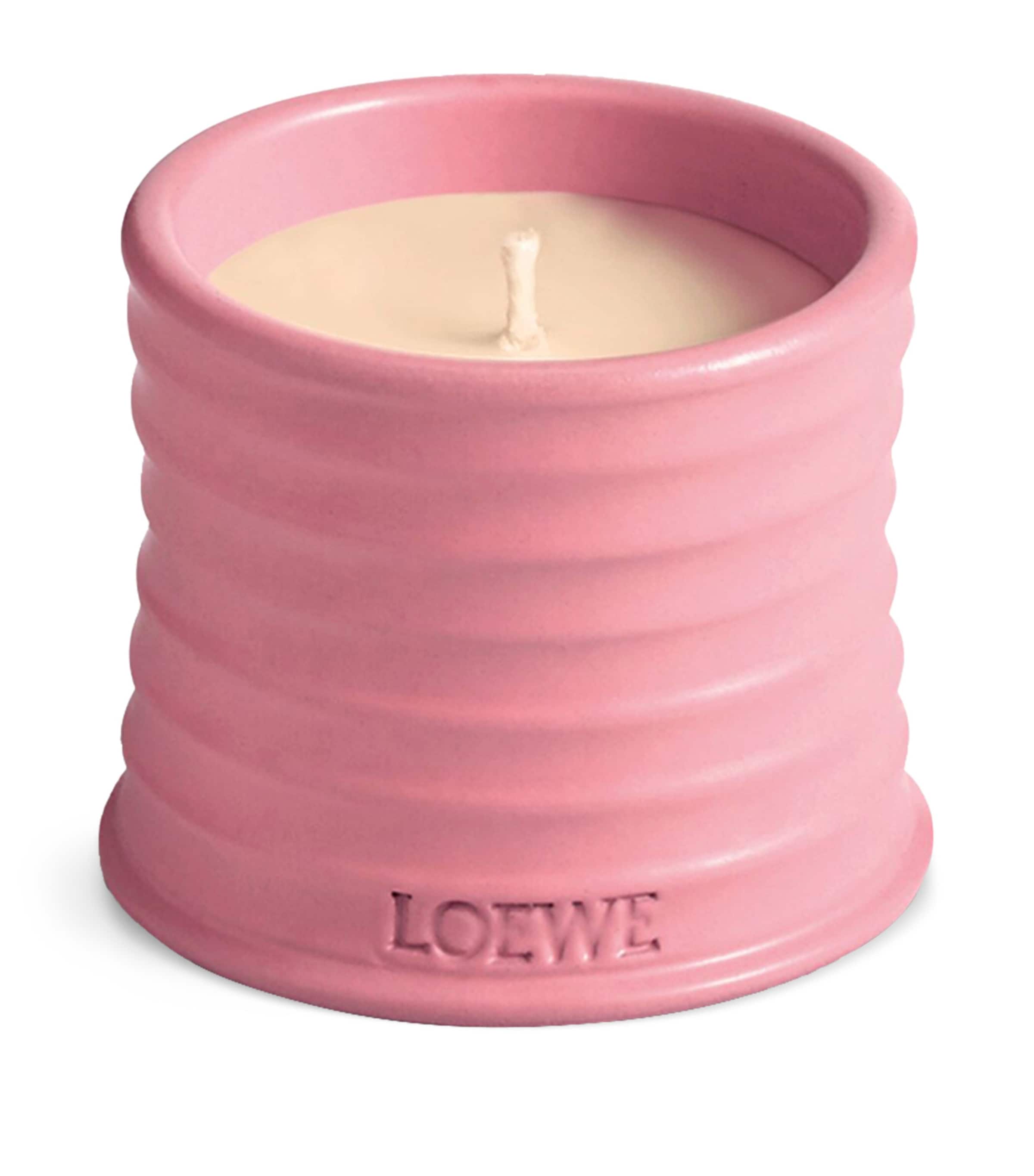 LOEWE small Ivy scented candle in terracotta vessel 170g, UK version