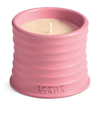 LOEWE small Ivy scented candle in terracotta vessel 170g, UK version