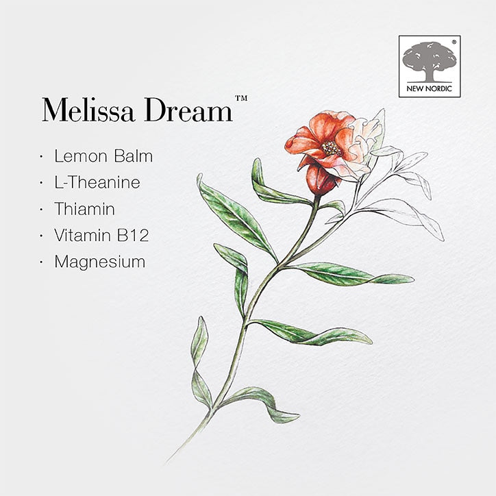 New Nordic Melissa Dream 100 Tablets