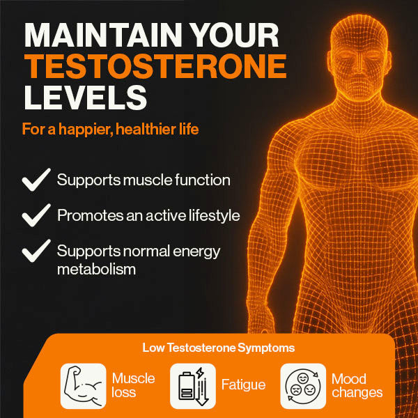 4HIM TestoBalance testosterone supplement 60 tablets, UK version