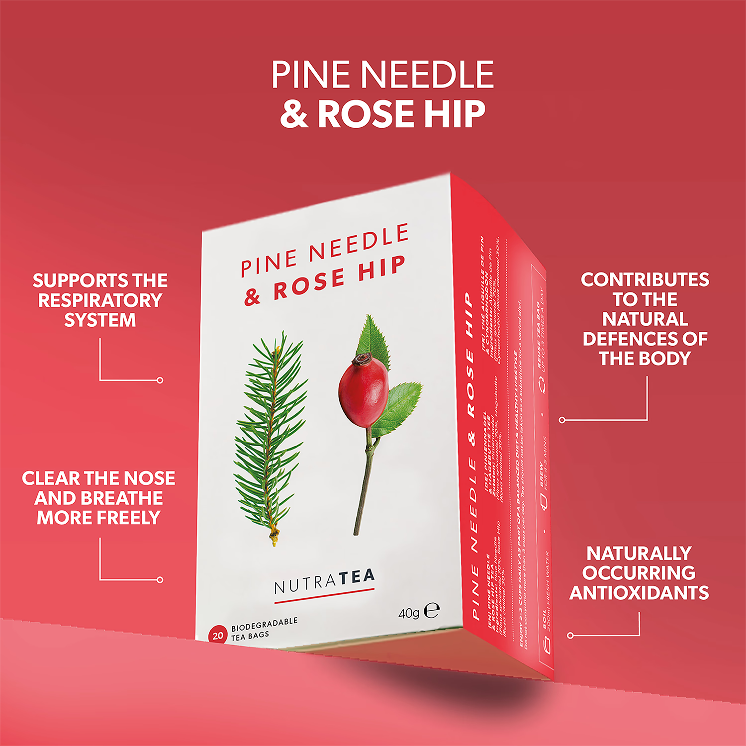 Herbal Tea Pine Needle & Rose Hip 20 Tea Bags (British brand)