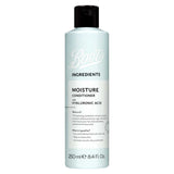 Boots Ingredients Moisture Conditioner with Hyaluronic Acid 250ml GOODS Boots   