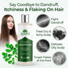 Ayumi anti-dandruff scalp conditioner 250ml, UK version