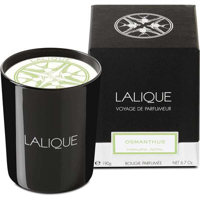 Superdrug Lalique Osmanthus Himalaya Scented Candle 190g- Buy online at McGrocer