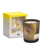 MEMO PARIS Skiros candle 180g, imported from the UK