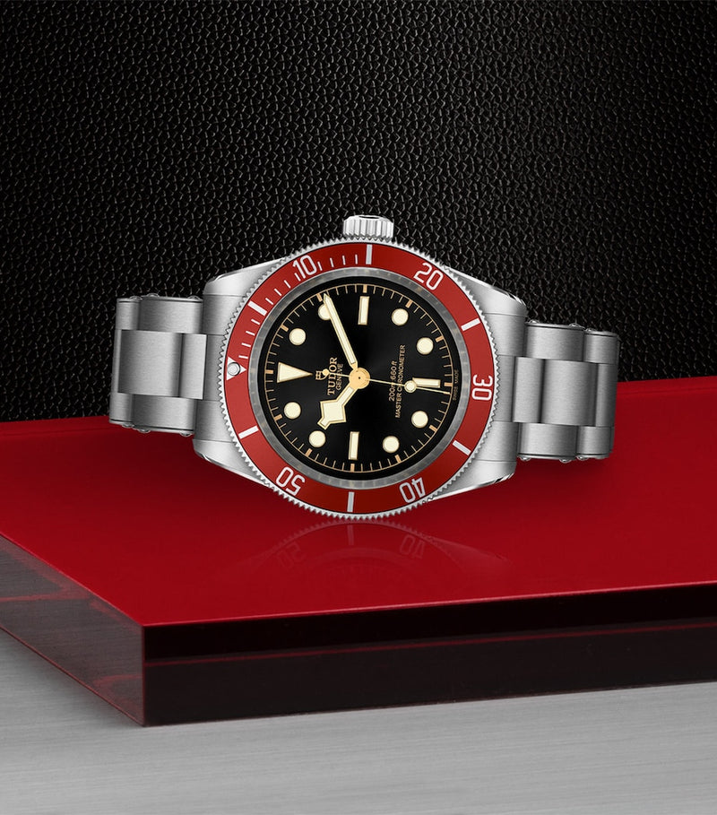 Tudor Black Bay 41mm stainless steel watch (British brand)
