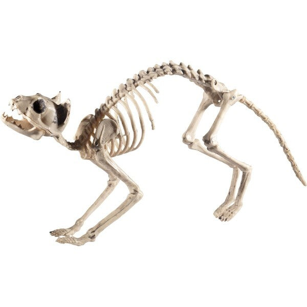 Smiffys cat skeleton prop natural 60cm (British brand)