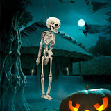 Livingandhome Halloween hanging skeleton 30cm, posable limbs (British brand)