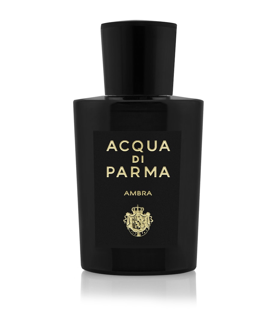 Acqua di Parma Ambra eau de parfum 100ml - British product